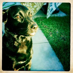 Hip 336187584.551484