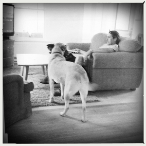 Hip 331692421.446492