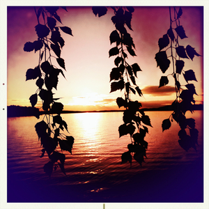 Hip 328821102.713287