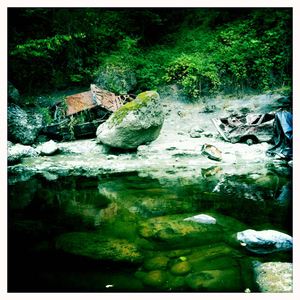 Hip 336355001.281274