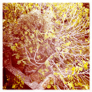 Hip 335982644.931441