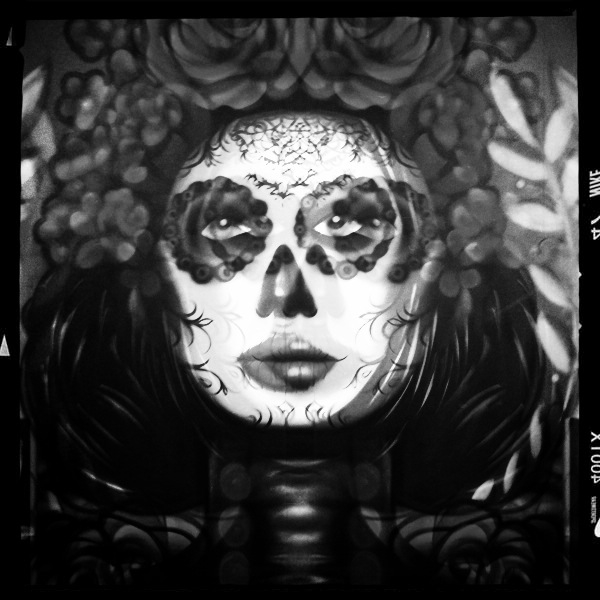 Hip 336352282.697213