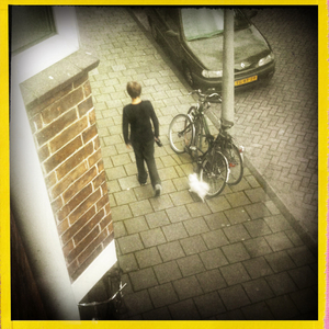 Hip 336419585.569169