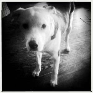 Hip 330294704.537072