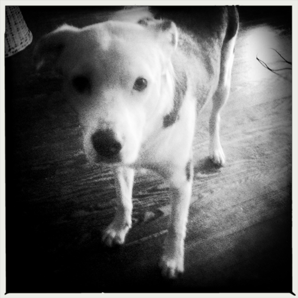 Hip 330294704.537072