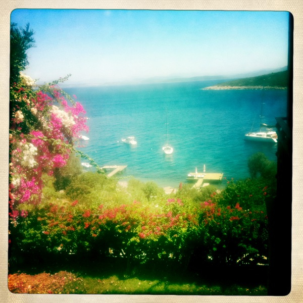 Hip 335441704.190624