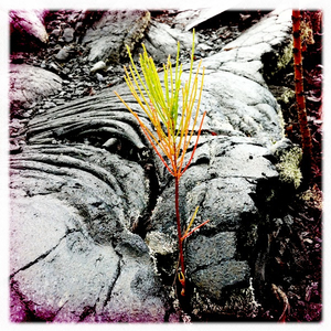 Hip 336304861.206628