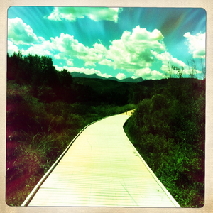 Hip 336422017.862254