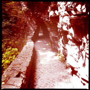 Hip 333474007.803238