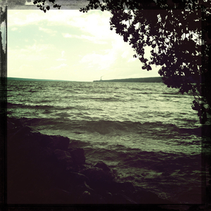 Hip 333397795.969062