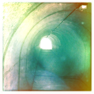 Hip 332897809.196239