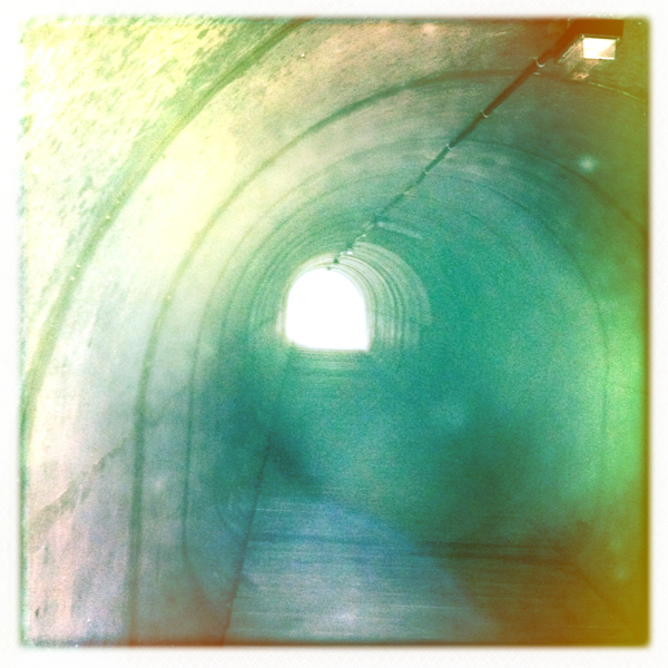 Hip 332897809.196239