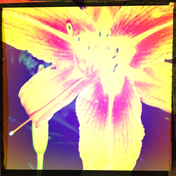 Hip 330475428.146061