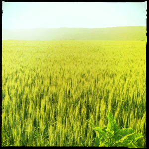 Hip 328658650.672331