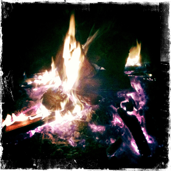 Hip 305346369.569769