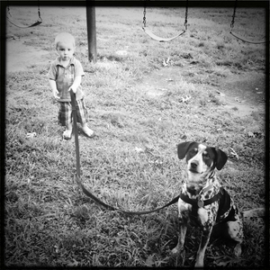 Hip 336350394.199176