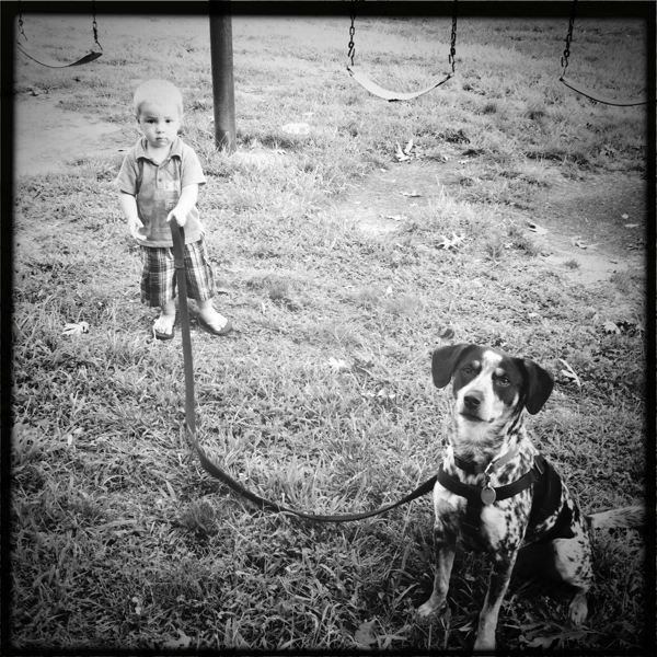 Hip 336350394.199176