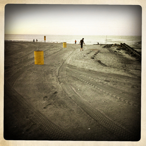 Hip 333800490.674398