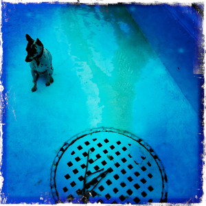 Hip 333764953.016292