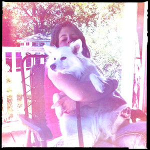 Hip 336419105.409198