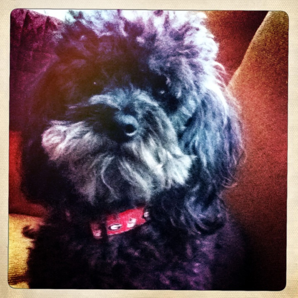 Hip 334712852.372296