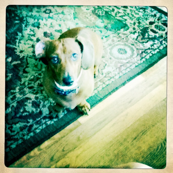 Hip 333552153.982364