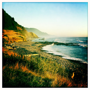 Hip 335847212.589570