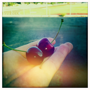 Hip 333077588.335431