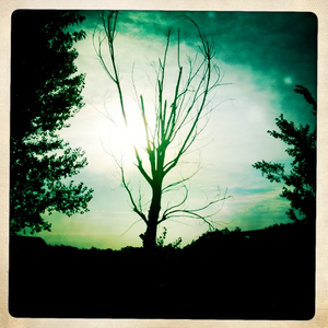 Hip 336438547.889113