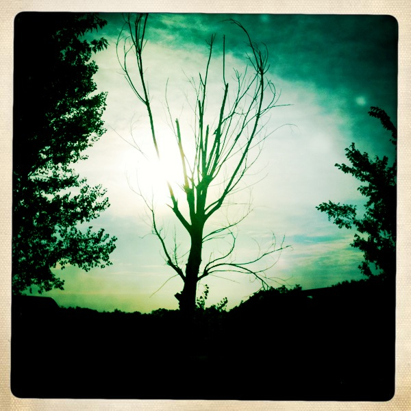 Hip 336438547.889113