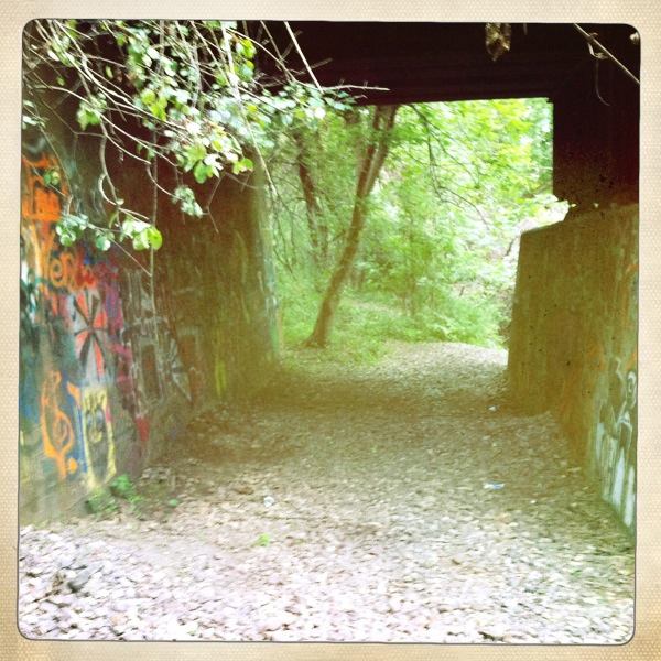 Hip 336436280.665212