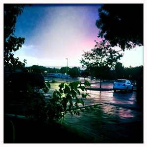 Hip 336275968.523905