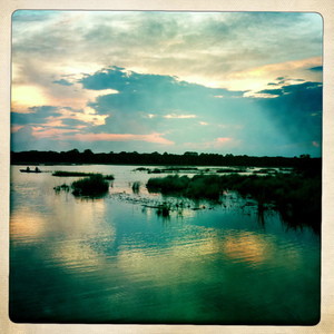 Hip 336441101.341786