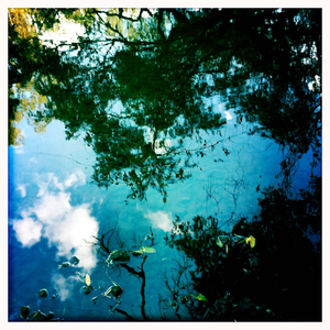 Hip 336288169.119634