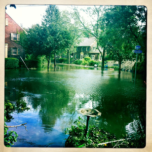 Hip 336256333.128688