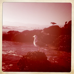 Hip 336445454.832329