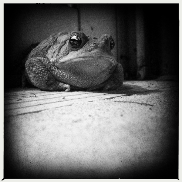 Hip 335683163.824257