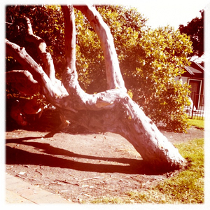 Hip 336178626.811364