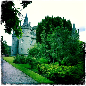 Hip 330446290.006162