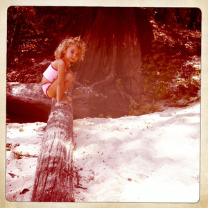 Hip 336248533.345134