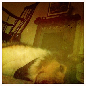 Hip 336448650.512641