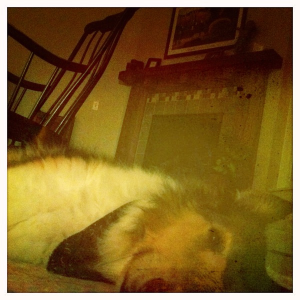 Hip 336448650.512641