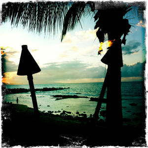 Hip 336371417.205874