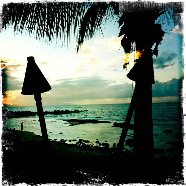 Hip 336371417.205874