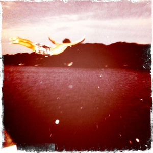 Hip 336449794.656785