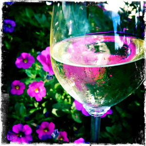 Hip 336099353.985466