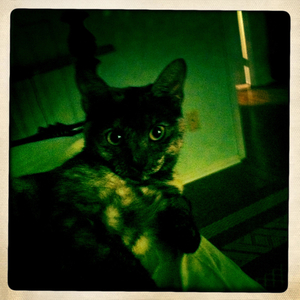 Hip 336451200.462257