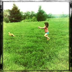 Hip 336235077.925363