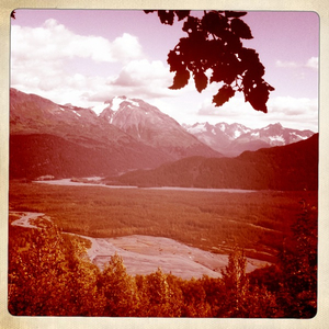 Hip 335229316.005878