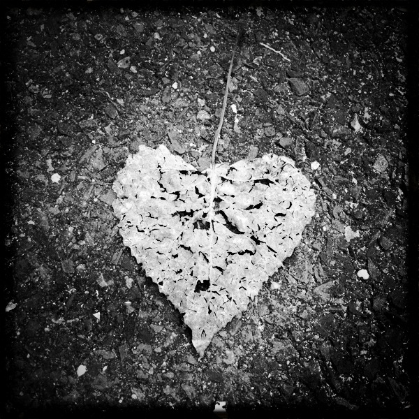 Hip 333297026.253593